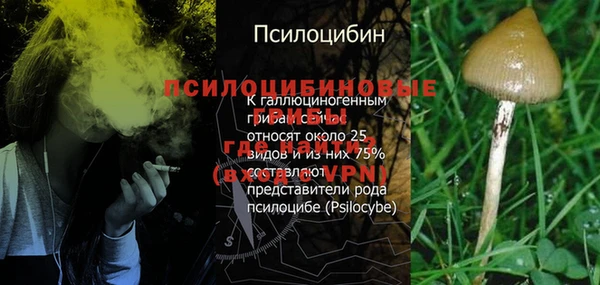 стаф Волосово