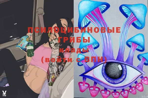 стаф Волосово