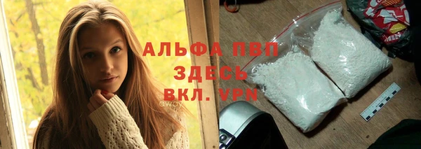 стаф Волосово